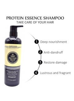 Luxury Protein Morocco Plant Oil Deep Repair Hair Care Shampoo 900ml - pzsku/ZD02B8A2902750136CDB5Z/45/_/1695996279/dcf60218-a694-4a22-9a75-64e7f4fe1f19