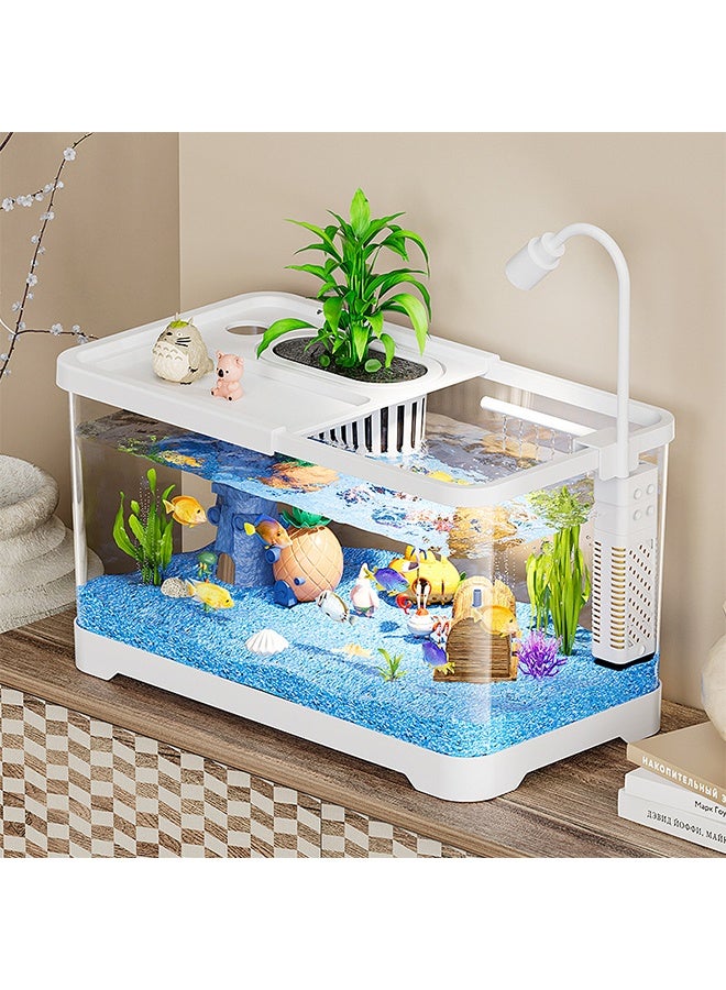 طقم حوض أسماك إيكولوجي شفاف فائق الوضوح - حوض أسماك بزاوية رؤية 360 درجة مزود بنظام ترشيح ومصباح نمو LED وفتحة زرع، حوض زينة طاولة لديكور المنزل والمتجر والمكتب  (حجم متوسط) - Image 2