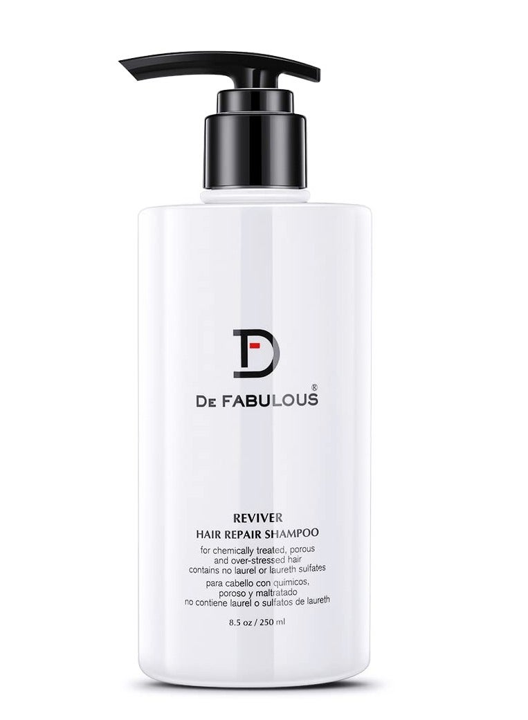 De Fabulous Reviver Shampoo 250ML - Image 1