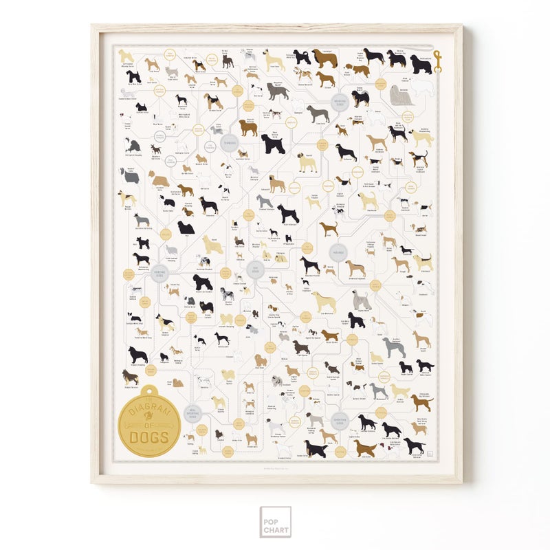 Pop Chart Lab Pop Chart | Breeds of Dog Poster | 16" x 20" Art Print | Diagram of Every Canine Breed | Perfect Dog Lover Wall Decor for Home | 100% Designed and Made in the USA - Image 5