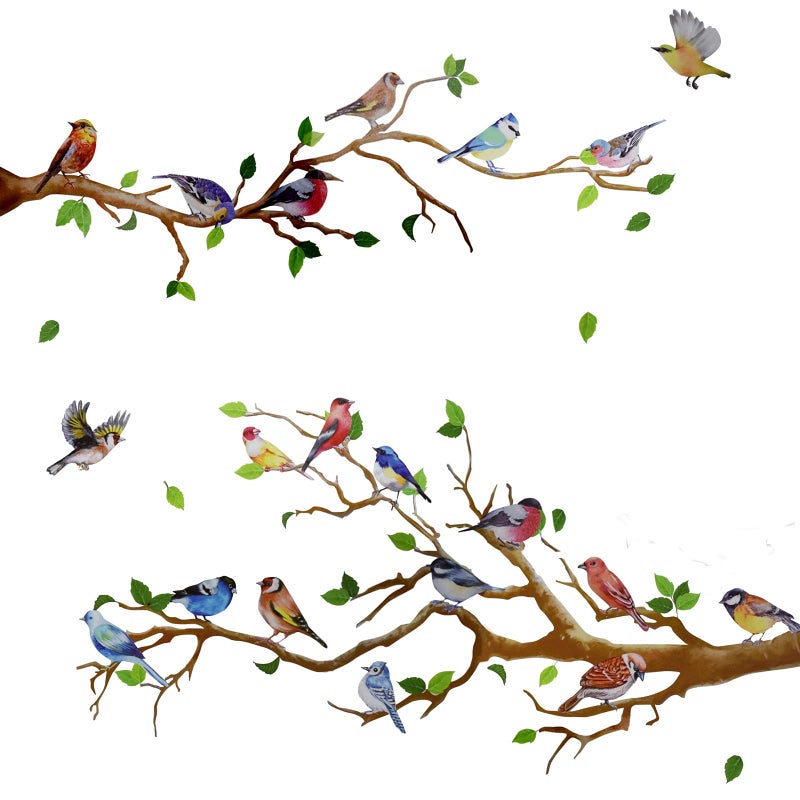 Maydahui Little Birds on Tree Branches Wall Decal Vinyl Wall Sticker (34 x 34 Inch) Removable Peel and Stick Art Murals Decor for Bedroom Offices Classroom Living Room Background - Image 1