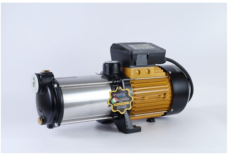 VESPA MH 60/4M 1HP Horizontal Multistage Water Pump SS316 Impeller 43m Head 1 Inch Inlet Outlet Single Phase