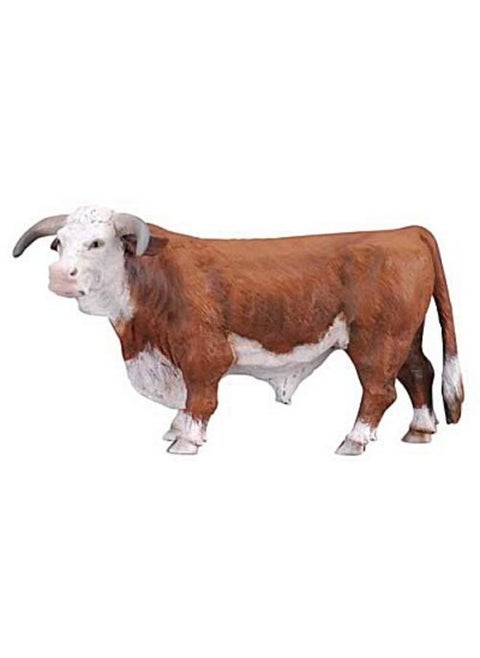 Egl Collecta Hereford Bull