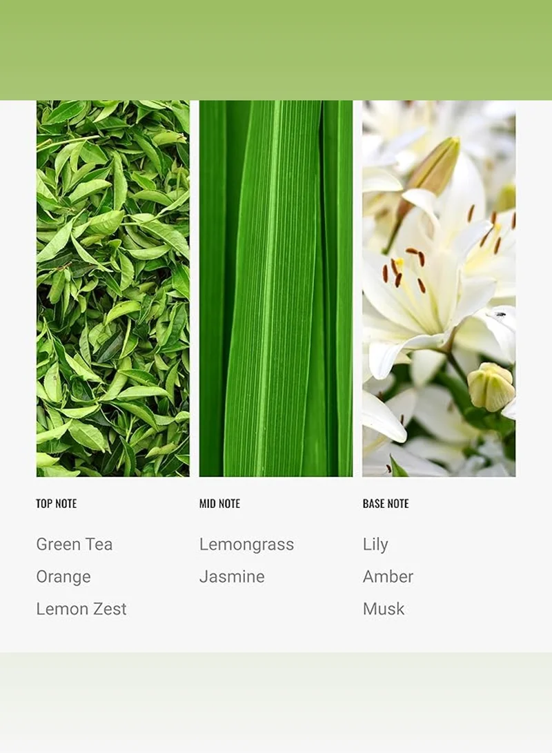 Hotel Collection California Love Fragrance Oil Blend - Hotel Inspired for Luxury Essential Oil Diffusers - Aromatherapy Scent Diffuser Oil - Green Tea, Lemongrass, and Lily