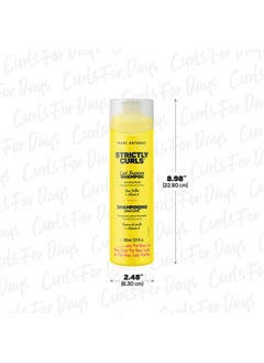 مارك أنتوني شامبو Strictly Curl Curl Defining Shea Butter وVitamin E المضاد للتجعد والخالي من البارابين والكبريتات والمعزز للتجعيد لجميع أنواع الشعر المجعد  - Image 4