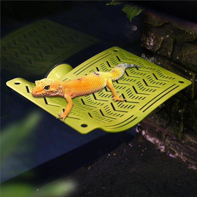 Durable Reptile Hammock Swing Perch - Climbing Bed for Lizards, Geckos, Frogs, Snakes, and Spiders(White,Small) - Image 5