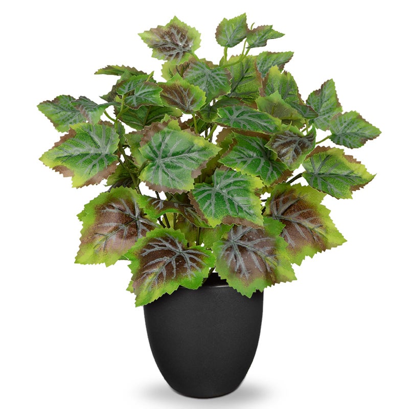 Villa Como 14.5" Artificial Plants Indoor Home Decor, Fake Potted Silk Plants for Shelves Living Room Decorative, Small Artificial Office Desk Plant in Pots, Faux Peperomia Hope Tropical House Plant - Image 1
