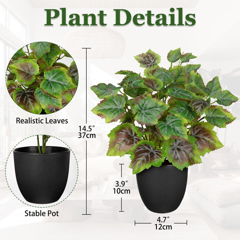 Villa Como 14.5" Artificial Plants Indoor Home Decor, Fake Potted Silk Plants for Shelves Living Room Decorative, Small Artificial Office Desk Plant in Pots, Faux Peperomia Hope Tropical House Plant - Image 2