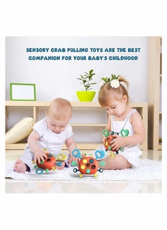 General Montessori Crab Toy for Toddlers Ages 18 Months to 3 Years Fine Motor Skills Educational Gift for Boys and Girls  - Image 4