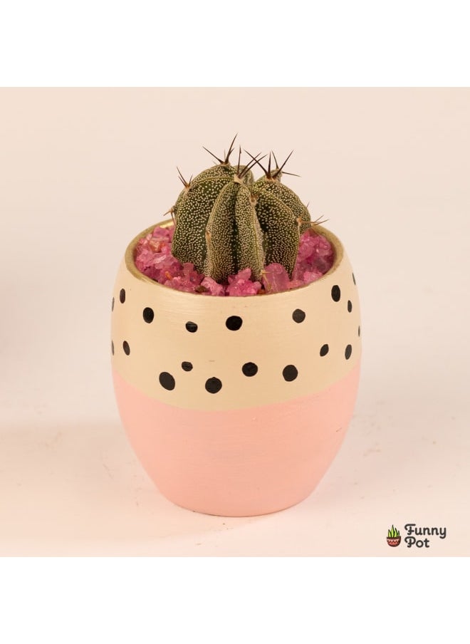 Funny Pot Cactus pottery pot 