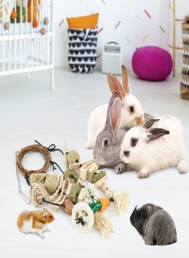 Bissap 3 PCS Rabbit Chew Toy, Bunny Cage Hanging Chew Toys Treats Rattan Ring with Snacks Water Grass Wooden Block Carrot for Guinea Pigs Chinchillas Hamsters Rats and Other Small Pets Teeth Grinding - Image 5