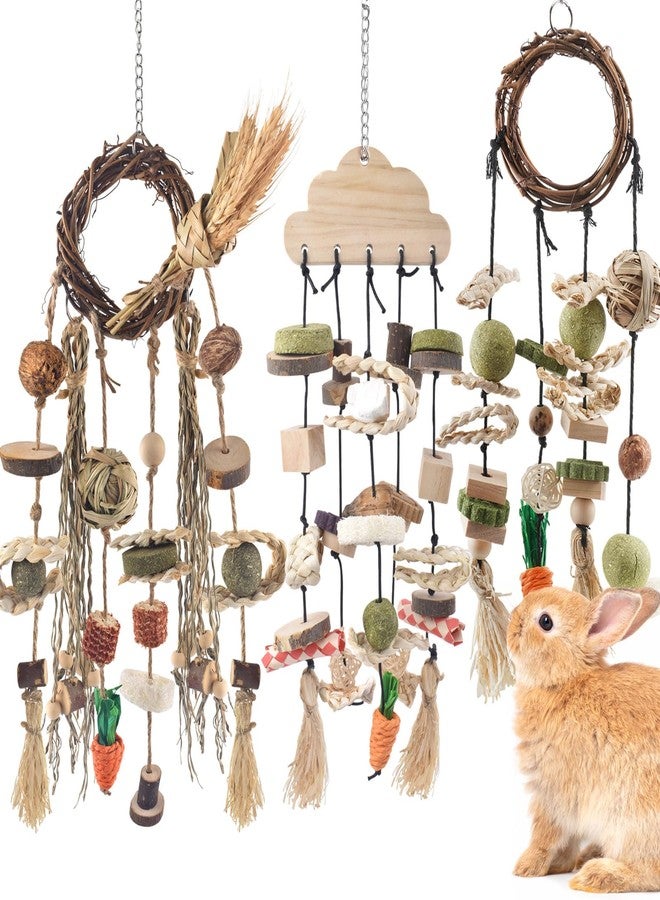 Bissap 3 PCS Rabbit Chew Toy, Bunny Cage Hanging Chew Toys Treats Rattan Ring with Snacks Water Grass Wooden Block Carrot for Guinea Pigs Chinchillas Hamsters Rats and Other Small Pets Teeth Grinding - Image 1