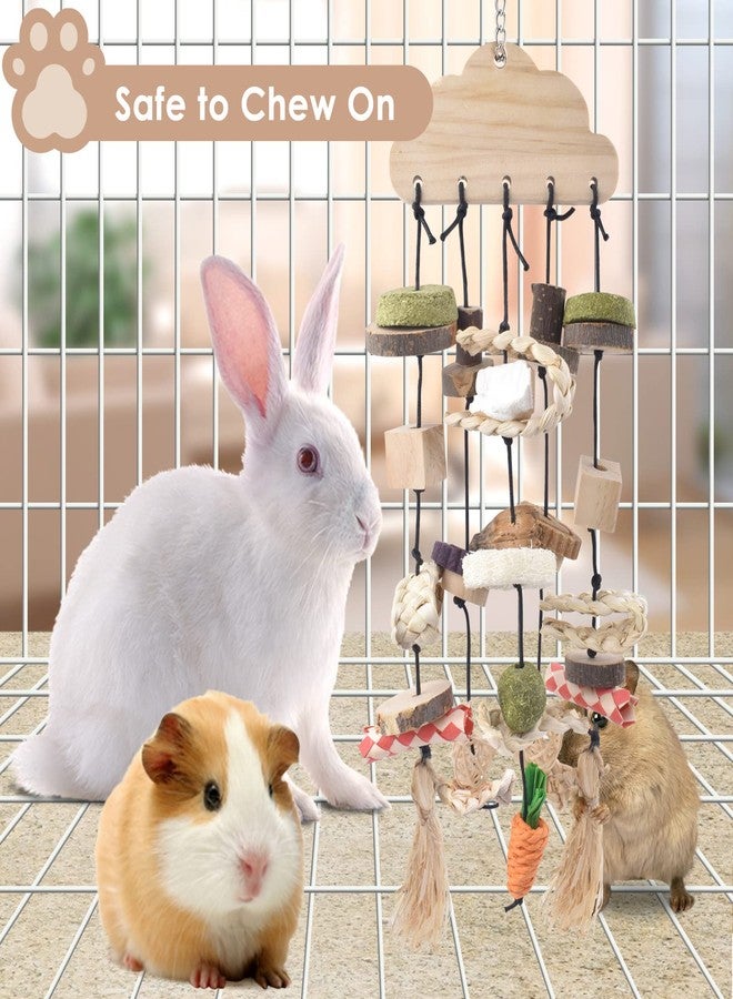 Bissap 3 PCS Rabbit Chew Toy, Bunny Cage Hanging Chew Toys Treats Rattan Ring with Snacks Water Grass Wooden Block Carrot for Guinea Pigs Chinchillas Hamsters Rats and Other Small Pets Teeth Grinding - Image 3