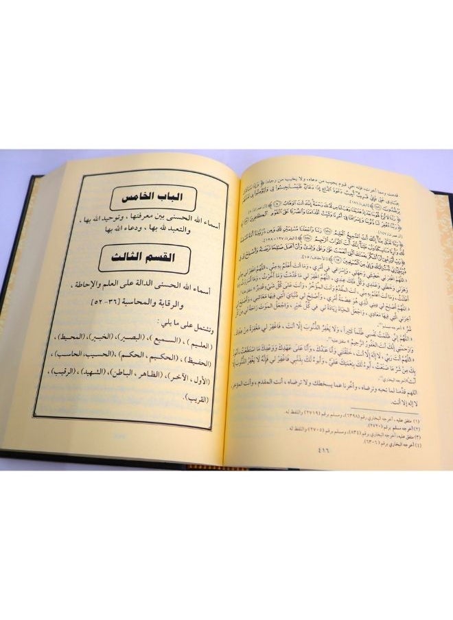 null - كتاب التوحيد في ضوء القرآن والسنة - Image 1