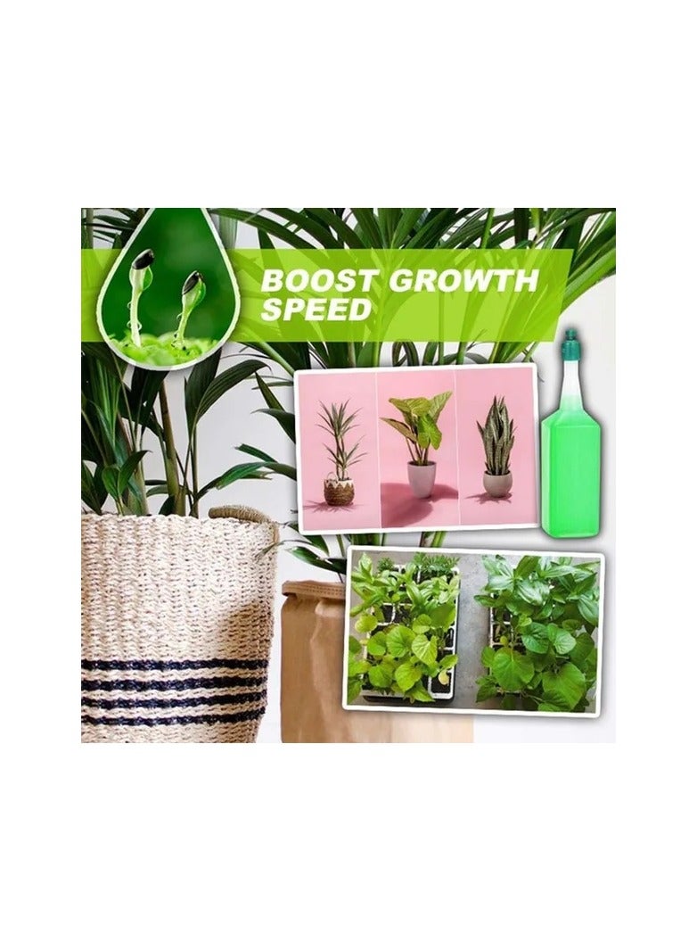 Generic 6-Bottles 38ml Hydroponic Plant Nutrient Solution Fertilizer,Bamboo Flower Fertilizer,Potted Green Concentrated Foliar Seed Fertilizer  - Image 4