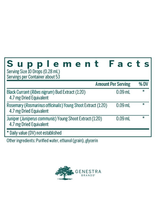 Genestra Brands Al-gen | Black Currant, Rosemary, and Juniper Herbal Supplement | 0.5 fl. oz. - Image 2