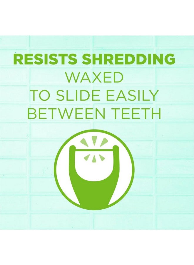 GUM Angled Floss Picks, Perfect for Tight Teeth, Extra Strong Shred-Resistant Dental Floss, Angled for Easy Reach, Dental Flossers for Adults, Fresh Mint Flavor, 75ct (4pk) - Image 4