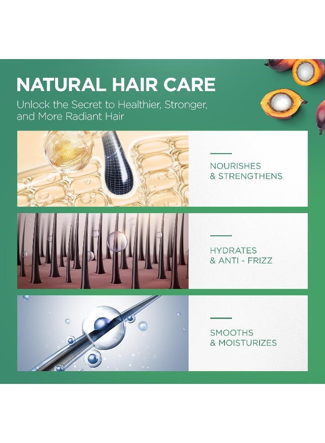 AIPILER Batana Oil for Hair Strenthening Dr Sebi 100 Pure and Raw Honduras Hair Treatment Oil  Pre or Post Shower Hair care for CurlyCoilyWavy Hair 42 oz - Image 2