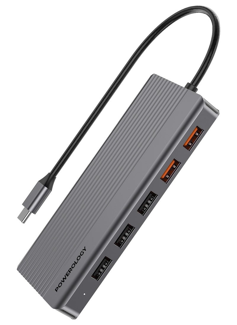 Powerology - 12in1 USB-C Hub HDMI Type-C 100W PD Ethernet VGA USB SD MicroSD 3.5AUX - Dark Gray - Image 1
