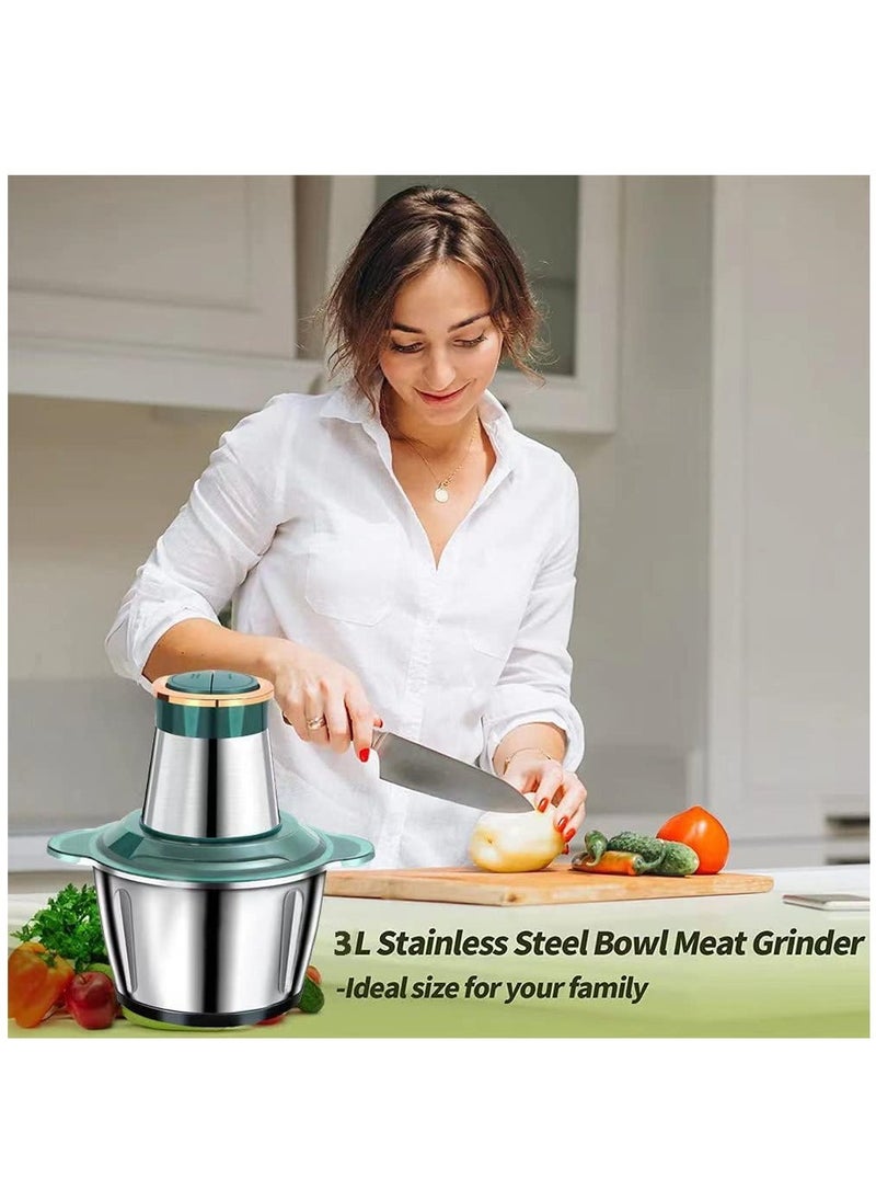 Electric Meat Grinder, Food Processor Blender with 3L Stainless Steel Bowls, Vegetable and Fruit Chopper for Dicing, Mincing