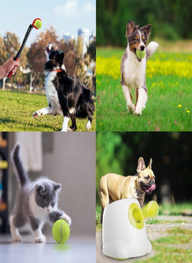 Pet Prime PetPrime 6PCS 2.5" Tennis Balls, Suitable for Max Dog Automatic Ball Launcher Interactive Dog Fetch Toy Pet Ball Thrower Throwing Game Launcher - Image 3