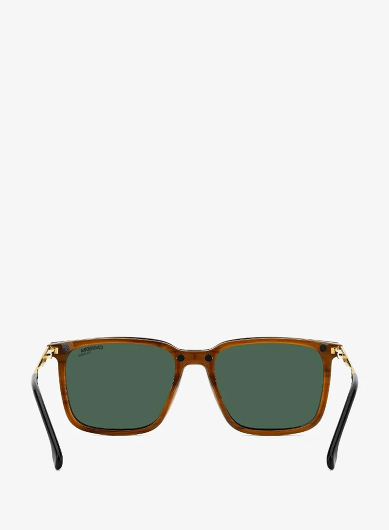 Carrera  Wayfarers Sunglasses for Men | Best Price UAE