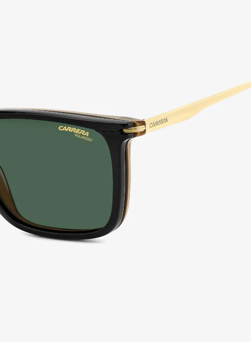 Carrera  Wayfarers Sunglasses for Men | Best Price UAE