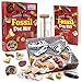 DANCING BEAR Fossil Dig Kit Excavate 15 Prehistoric Fossils including Real Dinosaur Bones and Shark Teeth Paleontology STEM Education for kids Fun Science Activity Gift Sets for Girls and Boys - Image 4