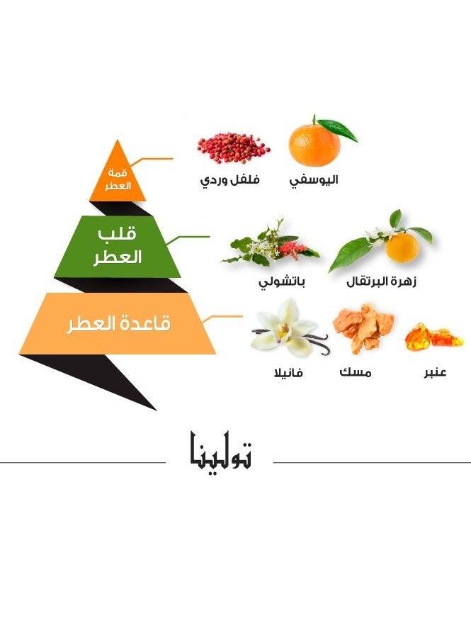  Al Majed Oud Tauleena Perfume - 75 ml - Image 4