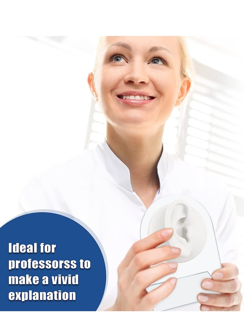 2 قطع نماذج أذن سيليكون ناعمة لعرض المجوهرات وممارسة الثقب مع قاعدة أكريليك - نمط كلاسيكي أبيض - Image 3