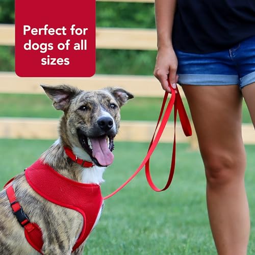 Coastal Pet Single-Ply Dog Leash - Sturdy Pet Leash - Comfortable & Stylish - Resists Fraying - Vibrant & Fade-Resistant Color - Red, 5/8" x 6' - Image 5