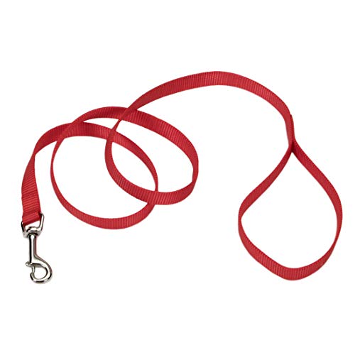 Coastal Pet Single-Ply Dog Leash - Sturdy Pet Leash - Comfortable & Stylish - Resists Fraying - Vibrant & Fade-Resistant Color - Red, 5/8" x 6' - Image 1