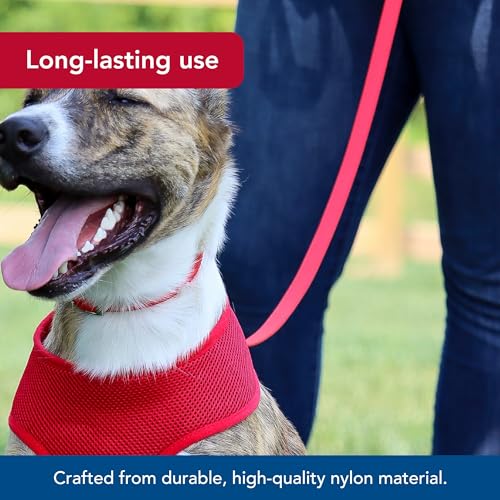 Coastal Pet Single-Ply Dog Leash - Sturdy Pet Leash - Comfortable & Stylish - Resists Fraying - Vibrant & Fade-Resistant Color - Red, 5/8" x 6' - Image 3