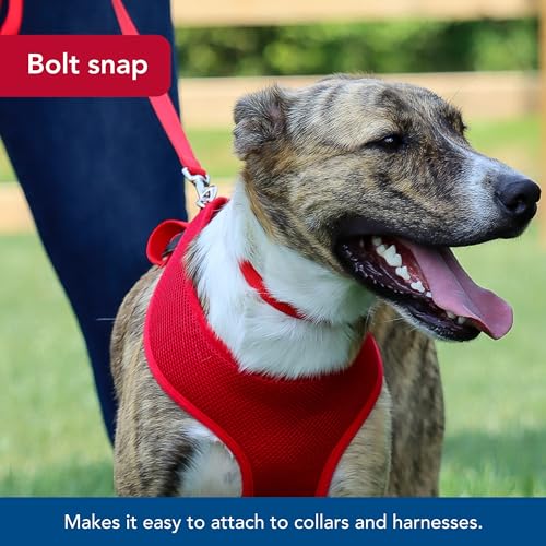Coastal Pet Single-Ply Dog Leash - Sturdy Pet Leash - Comfortable & Stylish - Resists Fraying - Vibrant & Fade-Resistant Color - Red, 5/8" x 6' - Image 4