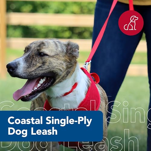 Coastal Pet Single-Ply Dog Leash - Sturdy Pet Leash - Comfortable & Stylish - Resists Fraying - Vibrant & Fade-Resistant Color - Red, 5/8" x 6' - Image 2