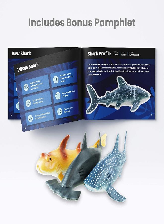Boley Shark Toys - 8 Pack 10" Long Soft Plastic Realistic Shark Toy Set - Toddler Sensory Toys and Birthday Party Favors for Kids - Image 2
