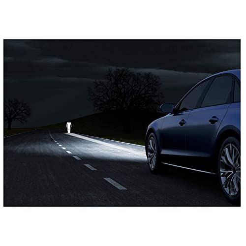 Auto Pearl H4_HalonixUB6442 H4 High Beam Halogen Headlamp Bulb Compatible with- All Cars (Set of 2) - Image 2