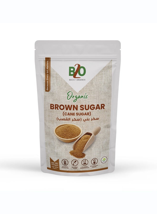 Back 2 Organics Organic Brown Sugar - Image 1