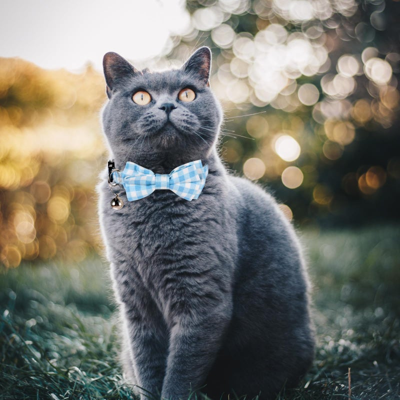 Sliverdew 2 Pcs Boy Cat Collar with Bell Breakaway Cat Collars Cute Kitten Bow Tie Collar Adjustable Small Puppy Safety Collar Solid Color Plaid Pet Collar (Blue) - Image 4