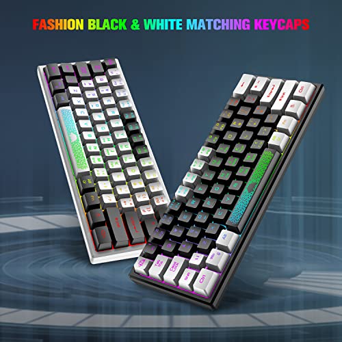 XINMENG 60% Gaming Keyboard and Mouse Combo Portable Mini RGB Backlight Black White Duble Color Keycaps Mechanical Feeling and RGB 6400 DPI Honeycomb Optical Mouse,Gaming Mouse pad for Gamers and Typists - Image 2