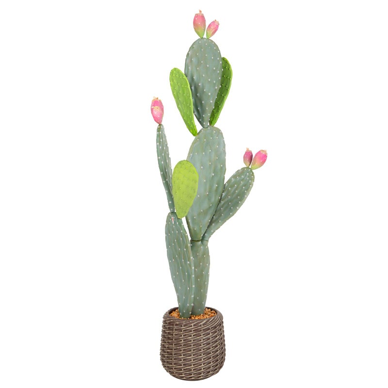 Nafresh UV-Resistant Tall Faux Cactus in Brown Woven Planter,41" Fake Plant with Realistic Pads & Vibrant Fruits,Artificial Cactus Indoor Outdoor for Home Office Living Room Bedroom Foyer Porch Decor - Image 1