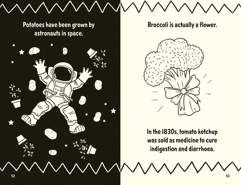 Amazing Facts Every 7 Year Old Needs to Know (Amazing Facts Every Kid Needs to Know) - Image 3
