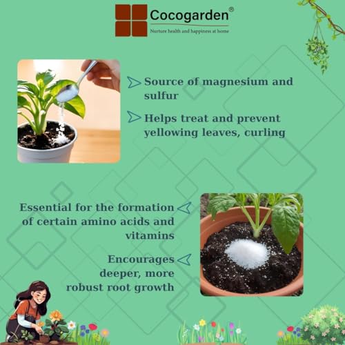 Cocogarden Epsom Salt for Plants 900g | Water Soluble Magnesium Sulphate | Fixes Yellow Leaves & Boosts Plant Growth & Flowering - Image 5