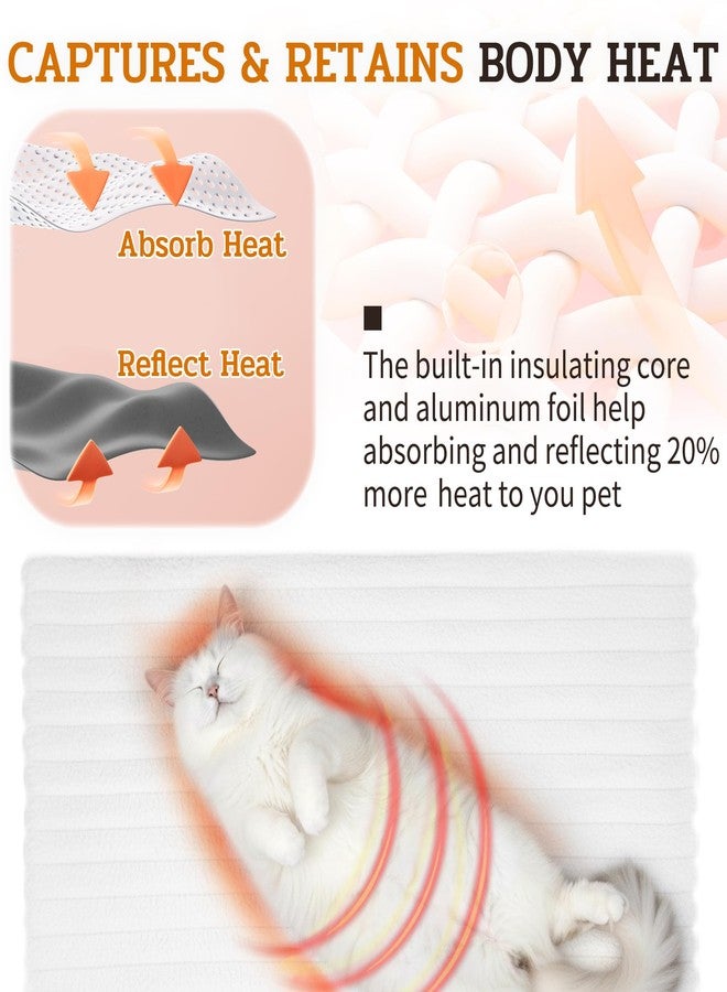 إن دابليو كيه مجموعة NWK من 4 قطع من سجادات القطط الناعمة ذاتية التدفئة، بطانية للقطط، سجادة حرارية للكلاب، قابلة للغسل، قاعدة مانعة للانزلاق للأريكة والقفص وبيت الكلب ومقعد السيارة (أبيض كريمي، صغير (19 بوصة × 15 بوصة × 0.7 بوصة)) - Image 4