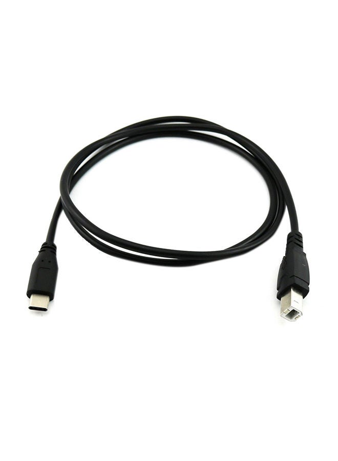 NIBEMINENT USB Type-C Male To 2.0 B Data Cable Black  - Image 1