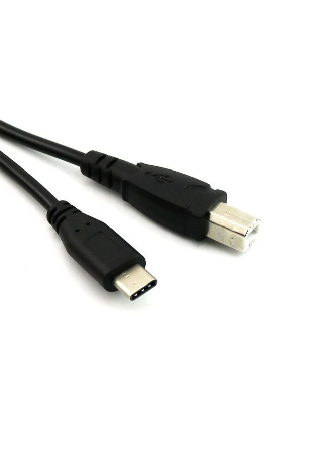 NIBEMINENT USB Type-C Male To 2.0 B Data Cable Black  - Image 2