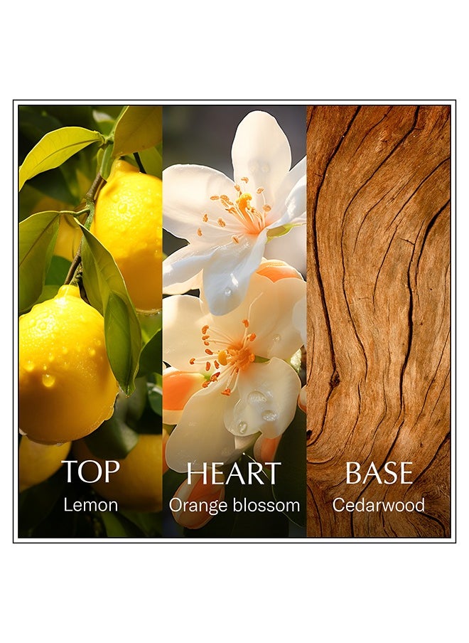 Chanson d'Eau Lemon Eau de Toilette 100ml  - Image 4