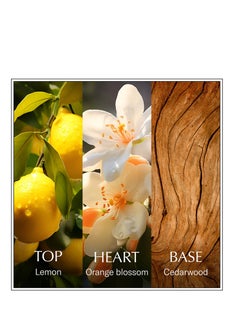 Chanson d'Eau Lemon Eau de Toilette 100ml  - Image 4
