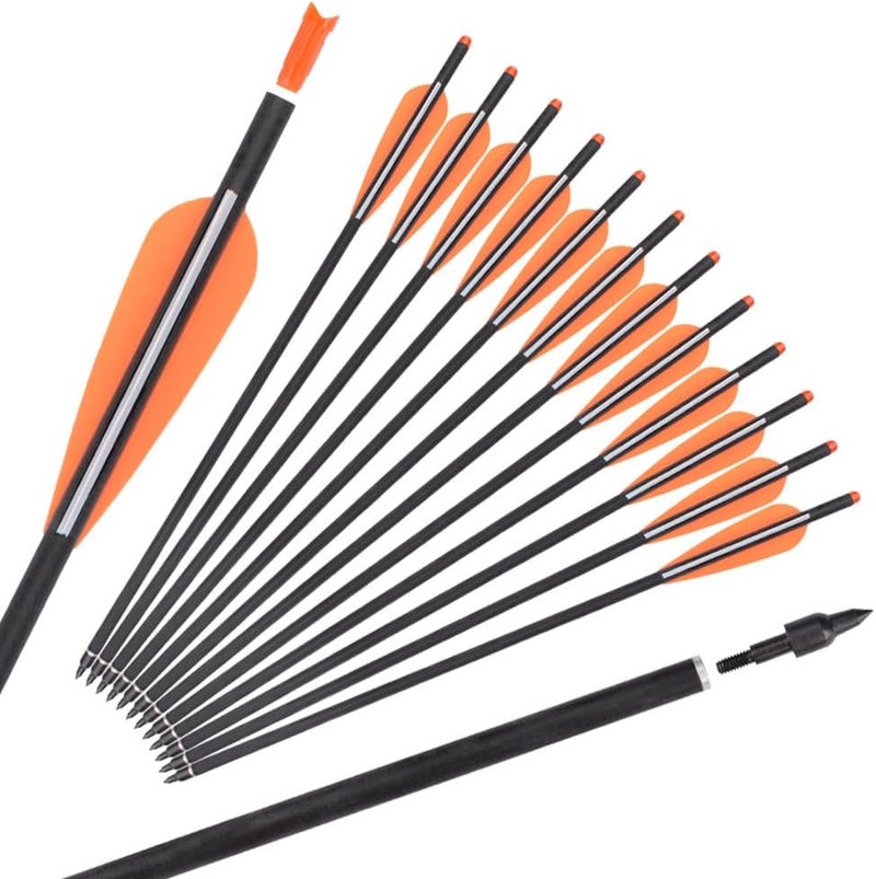 TY Archery Carbon Crossbow Bolts 16 18 20 Inch Hunting Archery Arrows with 4" Vanes Replaced Arrowhead Tip (Pack of 12) - Image 1