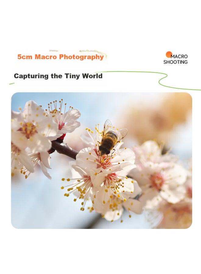 Caizu Student Entry-level Mirrorless 64mp Hd Flip Screen Digital Slr Camera Vlog Shooting Recording Beauty Replacing Ccd Camera Silver White Wide-angle Lens 256g - Image 4